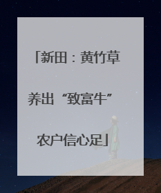新田：黄竹草养出“致富牛” 农户信心足
