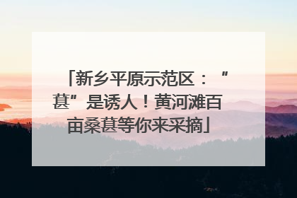 新乡平原示范区：“葚”是诱人！黄河滩百亩桑葚等你来采摘