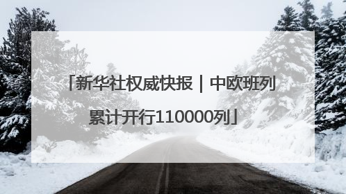 新华社权威快报｜中欧班列累计开行110000列