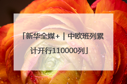 新华全媒+｜中欧班列累计开行110000列