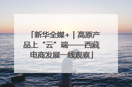 新华全媒+｜高原产品上“云”端——西藏电商发展一线观察