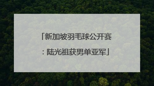 新加坡羽毛球公开赛：陆光祖获男单亚军
