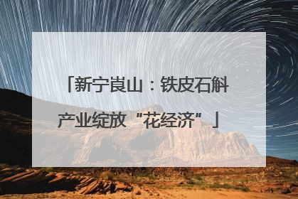新宁崀山：铁皮石斛产业绽放“花经济”