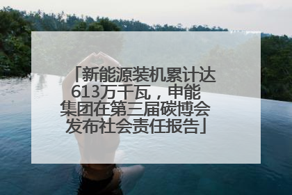 新能源装机累计达613万千瓦，申能集团在第三届碳博会发布社会责任报告