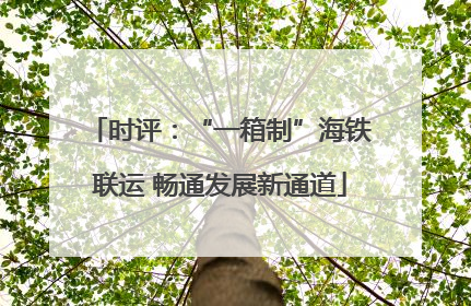 时评：“一箱制”海铁联运 畅通发展新通道