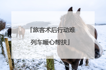 旅客术后行动难 列车暖心帮扶