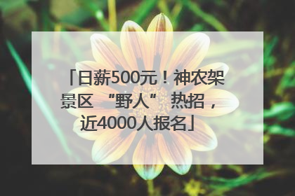 日薪500元！神农架景区 “野人” 热招，近4000人报名