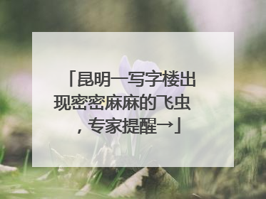 昆明一写字楼出现密密麻麻的飞虫，专家提醒→