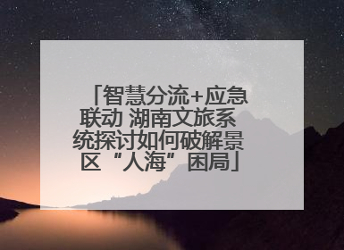 智慧分流+应急联动 湖南文旅系统探讨如何破解景区“人海”困局