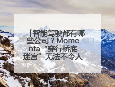智能驾驶都有哪些公司？Momenta“穿行桥底迷宫”无法不令人印象深刻！