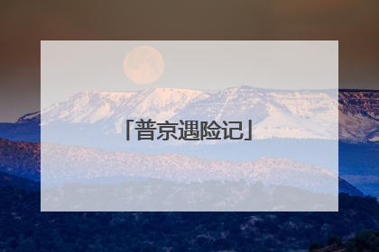 普京遇险记