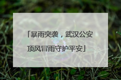 暴雨突袭，武汉公安顶风冒雨守护平安
