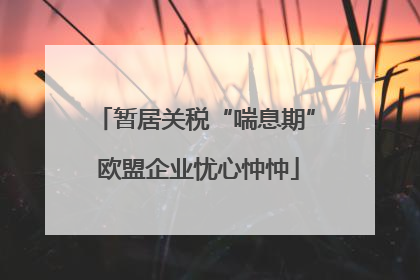 暂居关税“喘息期” 欧盟企业忧心忡忡