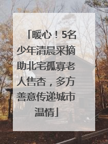 暖心！5名少年清晨采摘助北宅孤寡老人售杏，多方善意传递城市温情