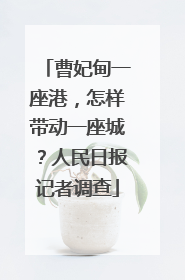 曹妃甸一座港，怎样带动一座城？人民日报记者调查
