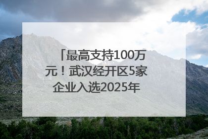 最高支持100万元！武汉经开区5家企业入选2025年度武汉市重点研发计划拟立项项目名单