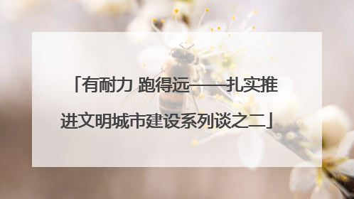 有耐力 跑得远——扎实推进文明城市建设系列谈之二