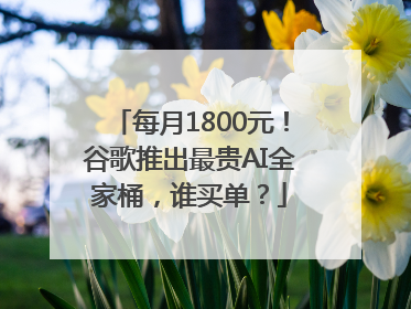 每月1800元！谷歌推出最贵AI全家桶，谁买单？