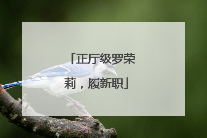 正厅级罗荣莉，履新职