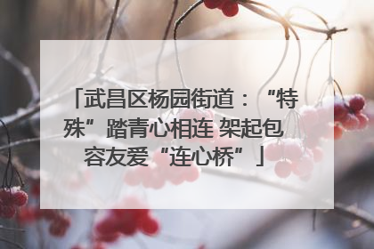 武昌区杨园街道：“特殊”踏青心相连 架起包容友爱“连心桥”