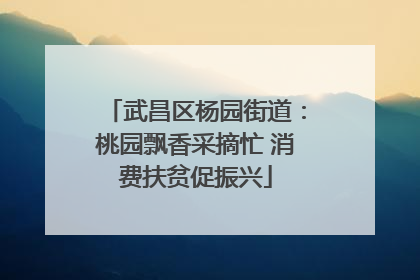 武昌区杨园街道：桃园飘香采摘忙 消费扶贫促振兴
