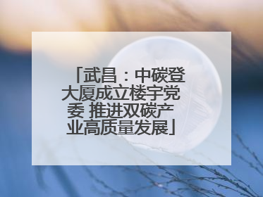 武昌：中碳登大厦成立楼宇党委 推进双碳产业高质量发展