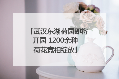 武汉东湖荷园即将开园 1200余种荷花竞相绽放
