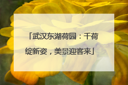 武汉东湖荷园：千荷绽新姿，美景迎客来