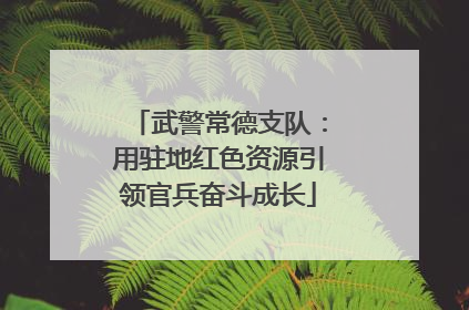 武警常德支队：用驻地红色资源引领官兵奋斗成长