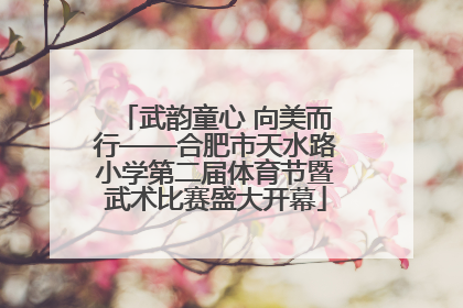 武韵童心 向美而行——合肥市天水路小学第二届体育节暨武术比赛盛大开幕