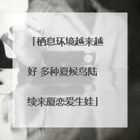 栖息环境越来越好 多种夏候鸟陆续来厦恋爱生娃