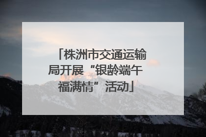 株洲市交通运输局开展“银龄端午福满情”活动