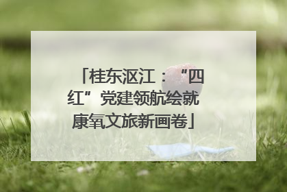 桂东沤江：“四红”党建领航绘就康氧文旅新画卷