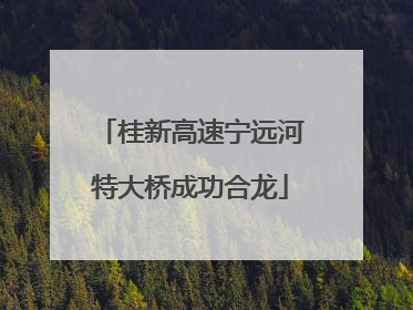 桂新高速宁远河特大桥成功合龙
