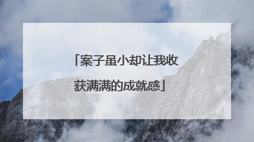案子虽小却让我收获满满的成就感