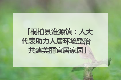 桐柏县淮源镇：人大代表助力人居环境整治 共建美丽宜居家园