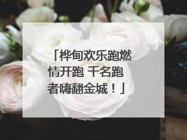 桦甸欢乐跑燃情开跑 千名跑者嗨翻金城！
