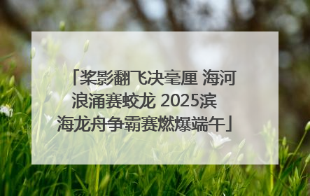 桨影翻飞决毫厘 海河浪涌赛蛟龙 2025滨海龙舟争霸赛燃爆端午