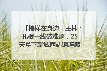榜样在身边｜王林：扎根一线破难题，25天拿下聊城西站钢连廊“硬核”工程