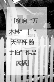 槌响“万木林”｜“天平杯·随手拍”作品展播