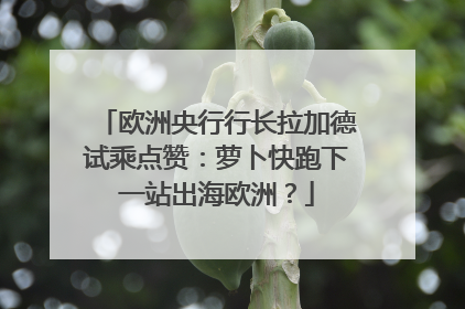 欧洲央行行长拉加德试乘点赞：萝卜快跑下一站出海欧洲？