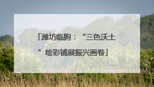 潍坊临朐：“三色沃土”绘彩铺展振兴画卷