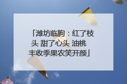 潍坊临朐：红了枝头 甜了心头 油桃丰收季果农笑开颜