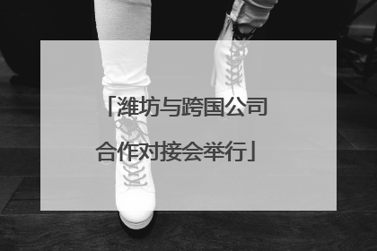 潍坊与跨国公司合作对接会举行