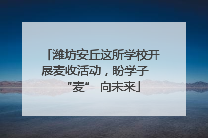 潍坊安丘这所学校开展麦收活动，盼学子 “麦” 向未来