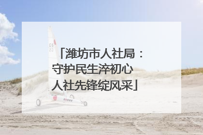 潍坊市人社局：守护民生淬初心 人社先锋绽风采