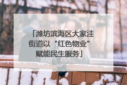 潍坊滨海区大家洼街道以“红色物业”赋能民生服务