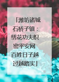 潍坊诸城石桥子镇：绣花功夫织密平安网 百姓日子越过越踏实