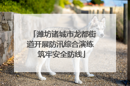 潍坊诸城市龙都街道开展防汛综合演练 筑牢安全防线
