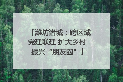 潍坊诸城：跨区域党建联建 扩大乡村振兴“朋友圈”